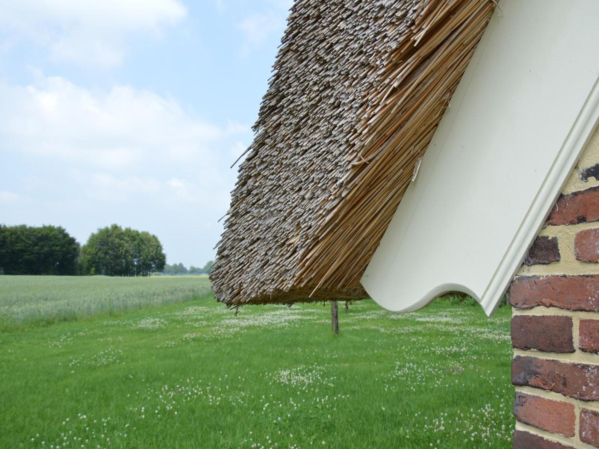 Quaint Farmhouse In Geesteren With Meadow View ภายนอก รูปภาพ