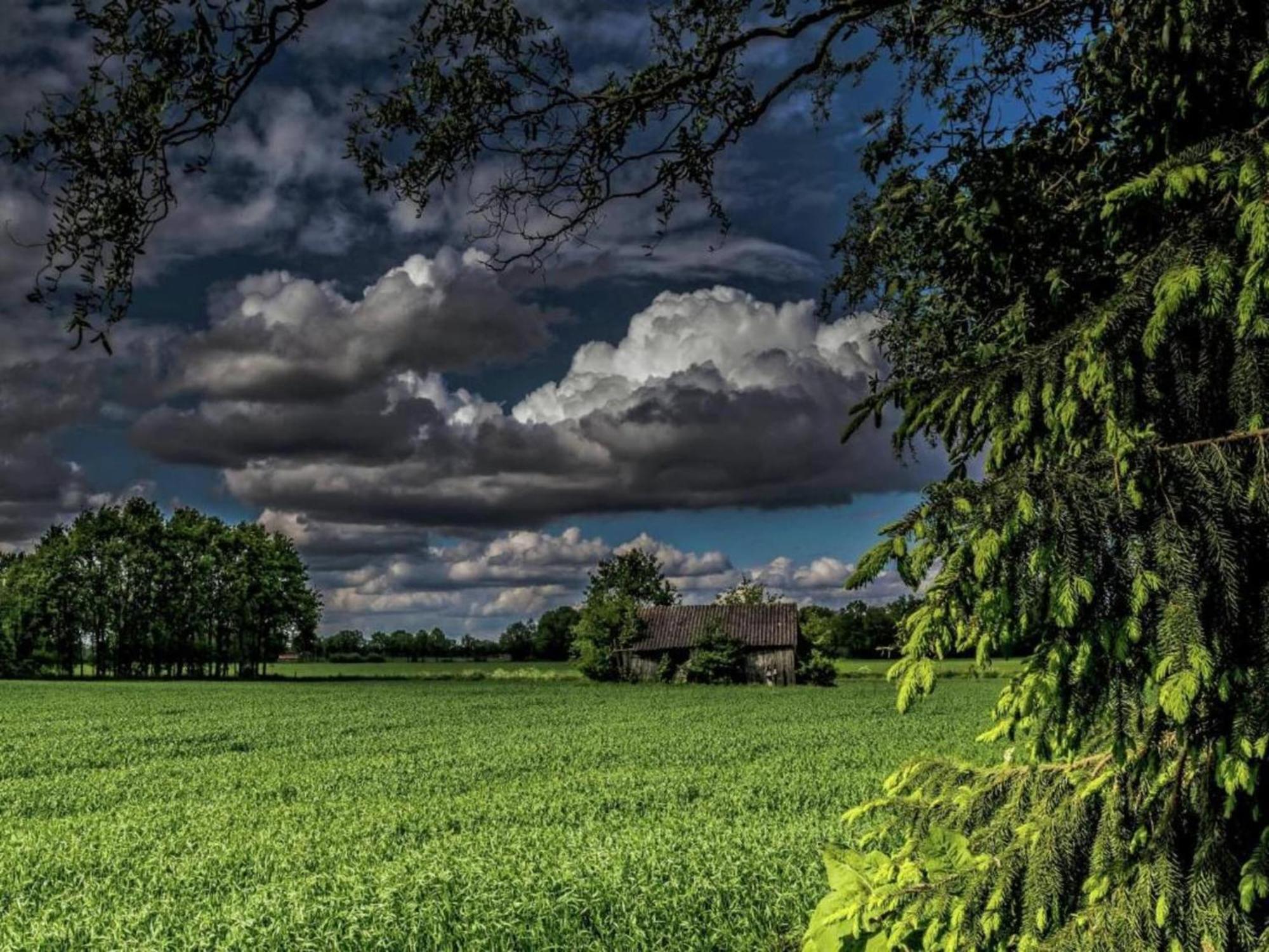 Quaint Farmhouse In Geesteren With Meadow View ภายนอก รูปภาพ